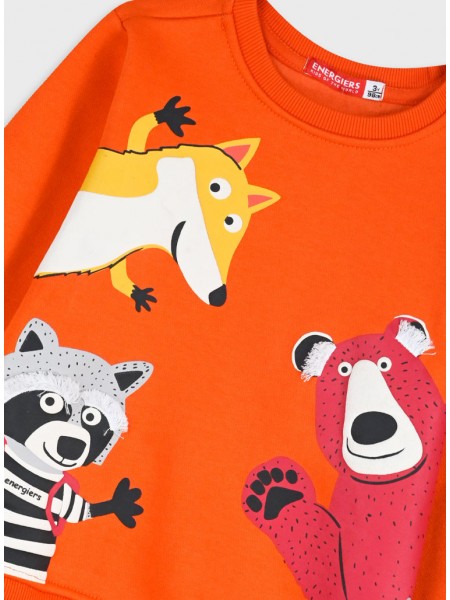 ENERGIERS Παιδική Φόρμα για Αγόρι 1-6 ετών "Forest Friends" - 12-125171-0 Πορτοκαλί/ Ανθρακί ENERGIERS Παιδική Φόρμα για Αγόρι 1-6 ετών "Forest Friends" - 12-125171-0 Πορτοκαλί/ Ανθρακί